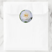 Rosa Iceberg [Round Seal] Ronde Sticker (Tas)