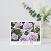 Rosa Ieraishan Briefkaart (Staand voorkant)
