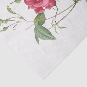 Rosa indica cruneta tissuepapier (Detail)