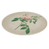 Rosa indica geurstof botanische illustratie snijplank (Hoek)