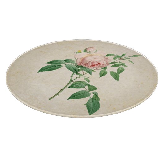 Rosa indica geurstof botanische illustratie snijplank (Hoek)