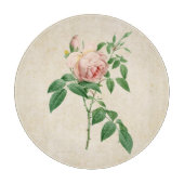Rosa indica geurstof botanische illustratie snijplank (Voorkant)