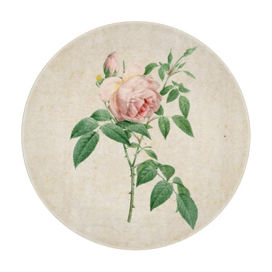 Rosa indica geurstof botanische illustratie snijplank (Voorkant)
