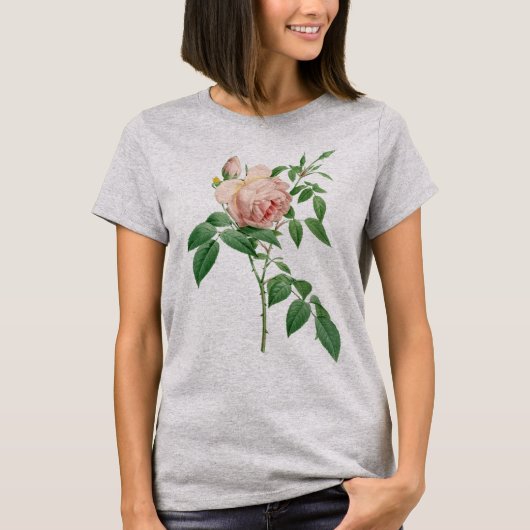 Rosa indica geurstof botanische illustratie t-shirt (Voorkant)