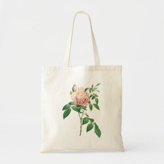 Rosa indica geurstof botanische illustratie tote bag (Voorkant)