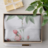 Rosa Indica Vulgaris Tissuepapier (Geschenk)