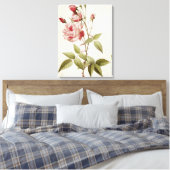 Rosa Indica Vulgaris uit 'Les Rozen' Canvas Afdruk (Insitu (Slaapkamer))