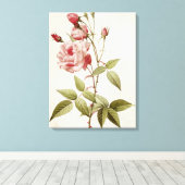 Rosa Indica Vulgaris uit 'Les Rozen' Canvas Afdruk (Insitu (Houten vloer))