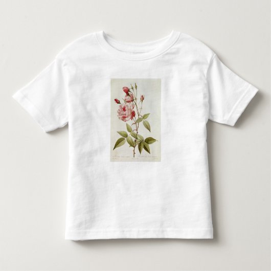 Rosa Indica Vulgaris uit 'Les Rozen' Kinder Shirts (Voorkant)