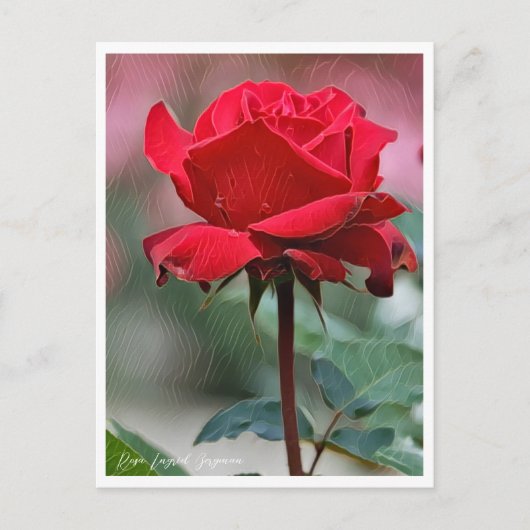 Rosa Ingrid Bergman Briefkaart (Voorkant)