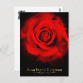 Rosa Ingrid Bergman:Briefkaart Briefkaart (Voorkant / Achterkant)