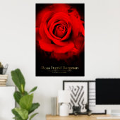 Rosa Ingrid Bergman: Poster (Thuiskantoor)