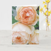 Rosa 'Jude the Obscure'-blanco kaart (Gele Bloem)