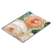 Rosa "Jude the Obscure" Notitieboek (Linkerzijde)