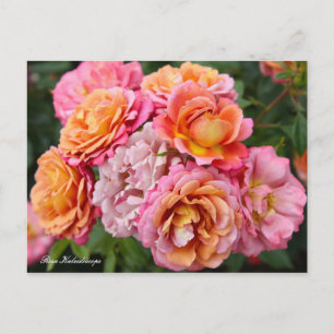 Rosa Kaleidoscope [Briefkaart] Briefkaart