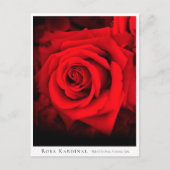 Rosa Kardinal Briefkaart (Voorkant)