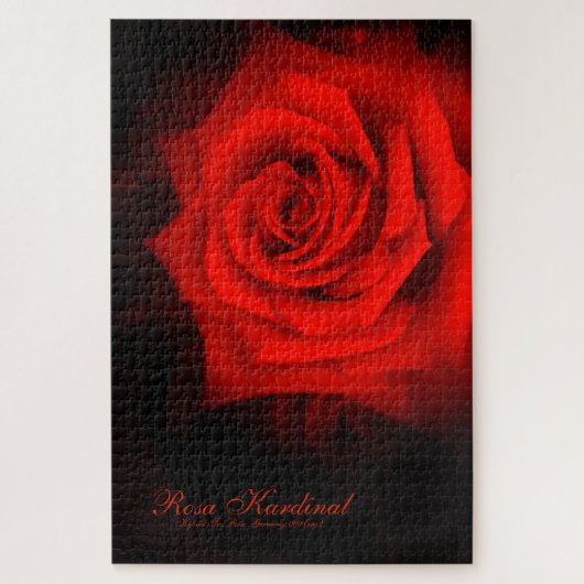 Rosa Kardinal [Jigsaw puzzle(1014 piece)] Legpuzzel (Verticaal)