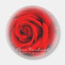 Rosa Kardinal Magneet