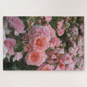 Rosa ‘Kate Sheppard’ roos Legpuzzel (Horizontaal)