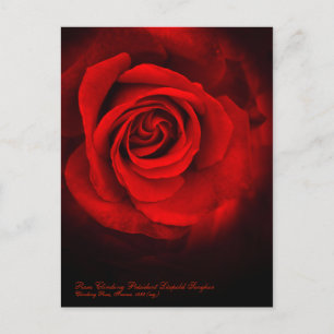 Rosa Klibing Président Léopold Senghor Briefkaart