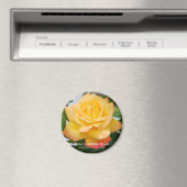 Rosa-klimaatvrede Magneet (Insitu (Vaatwasser))