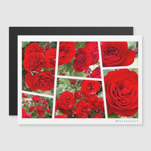 Rosa Lavaglut (Voorkant / Achterkant)