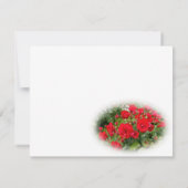 Rosa Lavaglut (Achterkant)