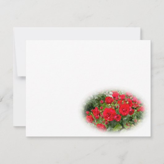 Rosa Lavaglut (Achterkant)