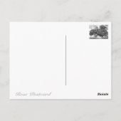 Rosa Lavaglut Briefkaart (Achterkant)