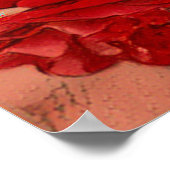 Rosa Lavaglut [Value Poster Paper] (Hoek)
