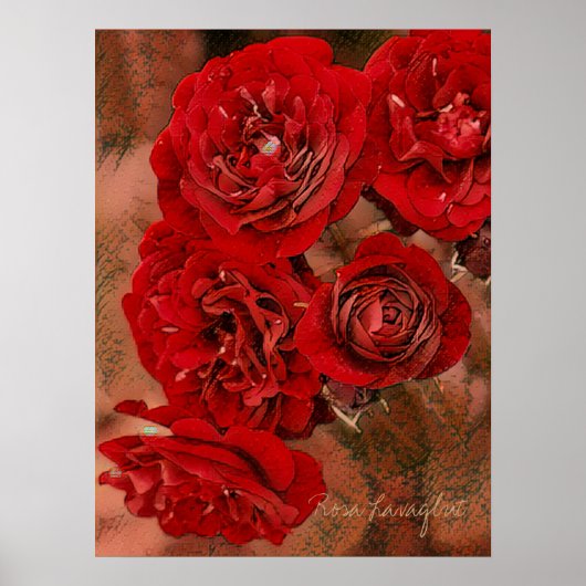 Rosa Lavaglut [Value Poster Paper] (Voorkant)