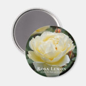 Rosa Lemon Magneet (Voorkant / Achterkant)