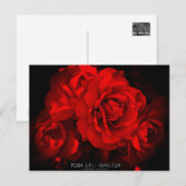 Rosa Lilli Marleen: Briefkaart (Voorkant / Achterkant)