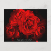 Rosa Lilli Marleen: Briefkaart (Voorkant)