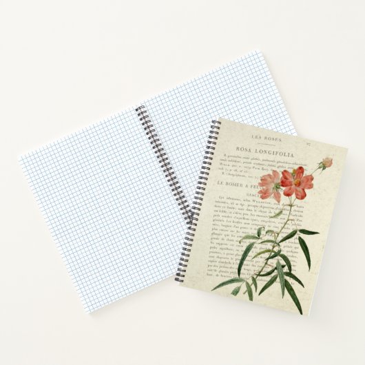  Rosa Longifolia Notitieboek (Binnen)