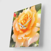 Rosa ‘Manyo’:Acrylic Wall Clock Vierkante Klok (Hoek)