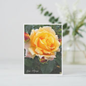 Rosa Manyo Briefkaart (Staand voorkant)