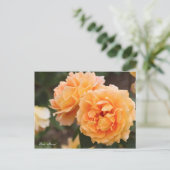 Rosa "Manyo" (Briefkaart) ポ カ ー ド Briefkaart (Staand voorkant)