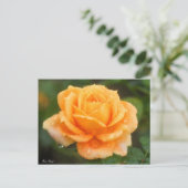 Rosa "Manyo":Briefkaart Briefkaart (Staand voorkant)