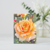 Rosa "Manyo" (Briefkaart) Briefkaart (Staand voorkant)