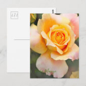 Rosa "Manyo" (Briefkaart) Briefkaart (Voorkant / Achterkant)