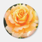 Rosa ‘Manyo’：Round Magnet (Voorkant)