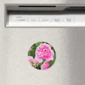 Rosa Mary Roos [Round Magnet] Magneet (Insitu (Vaatwasser))