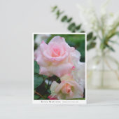 Rosa Matilda Briefkaart (Staand voorkant)