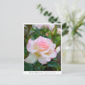 Rosa Matilda Briefkaart (Staand voorkant)