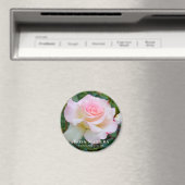 Rosa Matilda Magneet (Insitu (Vaatwasser))