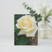 Rosa McGredy's Yellow [Postcard] Briefkaart (Staand voorkant)