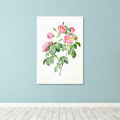 Rosa Mollissima uit 'Les Rozen' Canvas Afdruk (Insitu (Houten vloer))