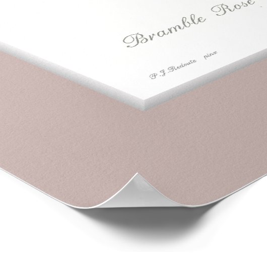 Rosa multiflora, aangepaste grens poster (Hoek)