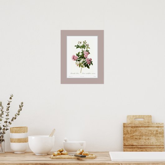 Rosa multiflora, aangepaste grens poster (Keuken)